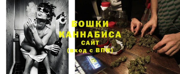 МДПВ Бикин
