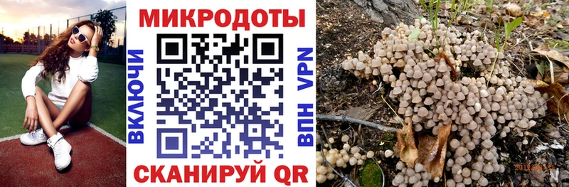 Галлюциногенные грибы Psilocybe  наркотики  Выкса 