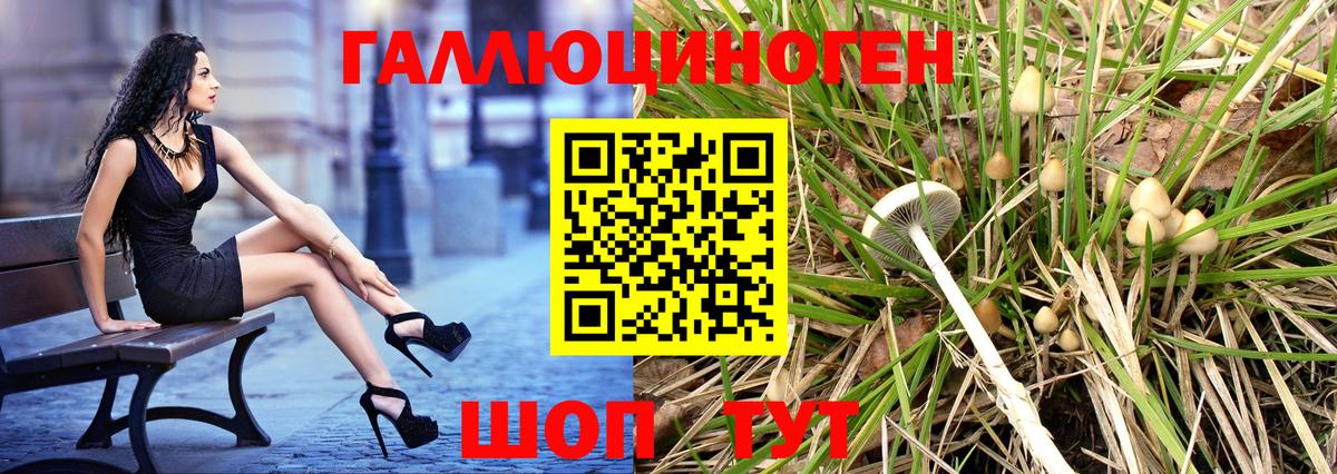 Галлюциногенные грибы ЛСД  Псилоцибиновые грибы GOLDEN TEACHER  Выкса 